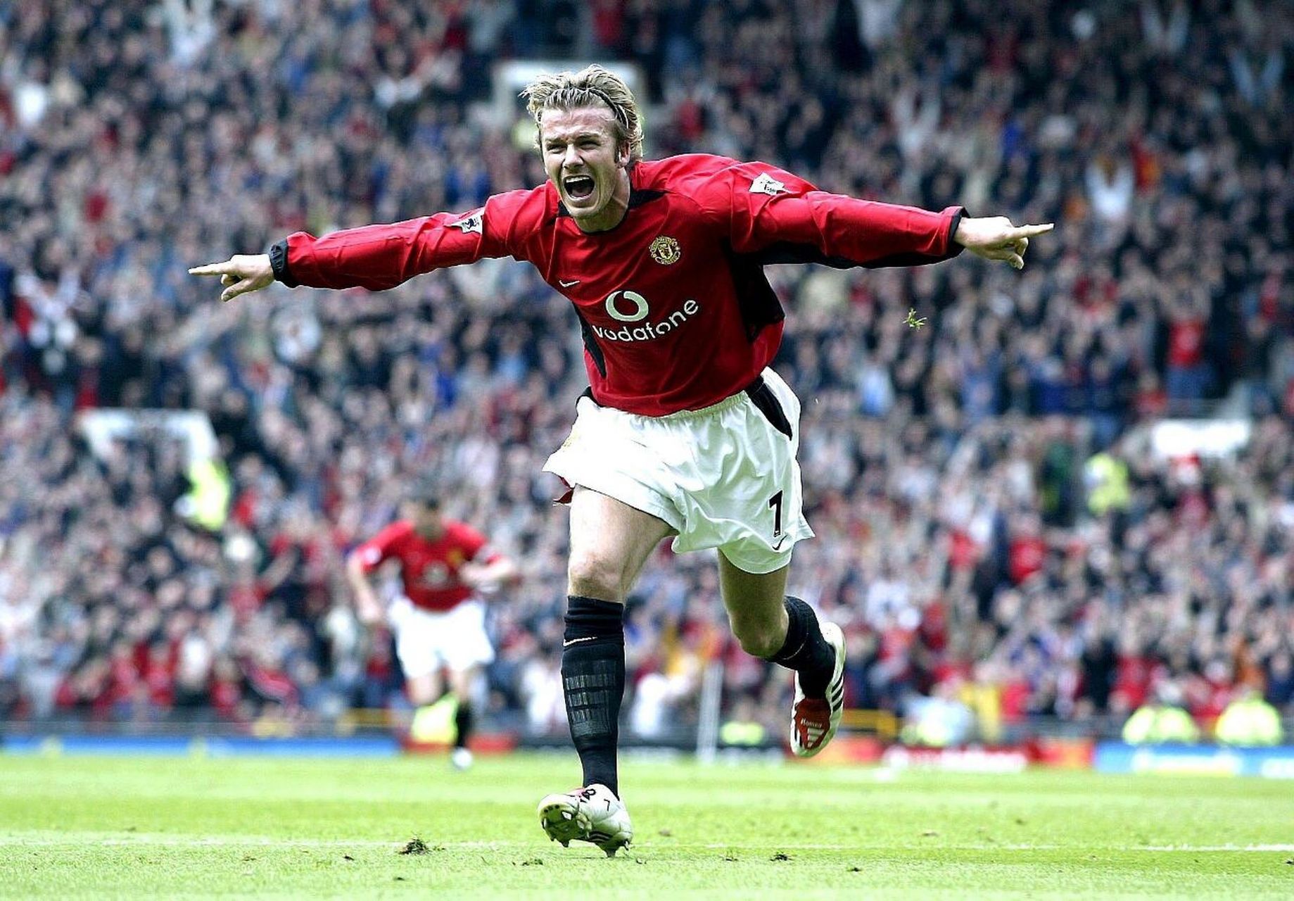 却依然在评 却依然在评